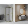 Mexen Rio cabine de douche carrée 80 x 80 cm, givre, dorée - 860-080-080-50-30