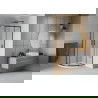 Cabine de douche Mexen Rio semicirculaire 90 x 90 cm, translucide, noire + bac Flat, blanc - 863-090-090-70-30-4110B