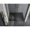 Mexen Apia portes de douche coulissantes 120 cm, transparentes, dorées - 845-120-000-50-00