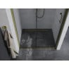 Mexen Apia portes de douche coulissantes 120 cm, transparentes, dorées - 845-120-000-50-00