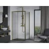 Mexen Apia cabine de douche coulissante 105 x 80 cm, transparent, dorée - 840-105-080-50-00