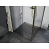 Mexen Apia cabine de douche coulissante 120 x 100 cm, transparent, dorée - 840-120-100-50-00