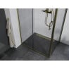 Mexen Apia cabine de douche coulissante 130 x 80 cm, transparente, dorée - 840-130-080-50-00