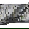 Mexen Apia cabine de douche coulissante 140 x 100 cm, transparent, dorée - 840-140-100-50-00