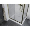 Mexen Apia cabine de douche coulissante 100 x 80 cm, transparente, dorée + receveur de douche Rio - 840-100-080-50-00-4510