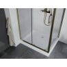 Mexen Apia cabine de douche coulissante 100 x 80 cm, transparente, dorée + receveur Rio - 840-100-080-50-00-4510