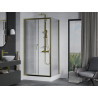 Mexen Apia cabine de douche coulissante 100 x 80 cm, transparente, dorée + receveur de douche Rio - 840-100-080-50-00-4510