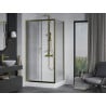 Mexen Apia cabine de douche coulissante 120 x 90 cm, transparent, or + receveur Rio - 840-120-090-50-00-4510
