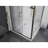 Mexen Apia cabine de douche coulissante 100 x 100 cm, transparent, dorée + receveur Flat, blanc- 840-100-100-50-00-4010G