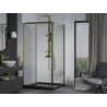 Mexen Apia cabine de douche coulissante 90 x 90 cm, transparent, doré + bac Flat, noir - 840-090-090-50-00-4070G