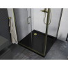 Mexen Apia cabine de douche coulissante 100 x 100 cm, transparent, dorée + receveur Flat, noir - 840-100-100-50-00-4070G