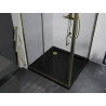 Mexen Apia cabine de douche coulissante 100 x 100 cm, transparent, dorée + receveur Flat, noir - 840-100-100-50-00-4070G