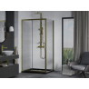 Mexen Apia cabine de douche coulissante 120 x 70 cm, transparent, doré + receveur Flat, noir - 840-120-070-50-00-4070G