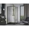 Mexen Apia cabine de douche coulissante 130 x 70 cm, transparent, dorée + bac à douche Flat, noir - 840-130-070-50-00-4070G