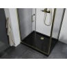 Mexen Apia cabine de douche coulissante 140 x 100 cm, transparent, doré + receveur Flat, noir - 840-140-100-50-00-4070G