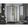 Mexen Apia cabine de douche coulissante 140 x 100 cm, transparent, doré + receveur Flat, noir - 840-140-100-50-00-4070G