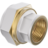 Mexen PEX-S réduction vissée PEX 16 x 1/2 IG - W97222-1612F-00