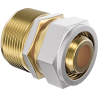 Mexen PEX-S réduction à visser PEX 25 x 3/4 GZ - W97223-2534M-00