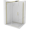 Mexen Omega cabine de douche coulissante 100 x 80 cm, transparent, dorée - 825-100-080-50-00