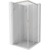 Mexen Rox Duo cabine de douche coulissante 75 x 75 cm, transparent, nickel brossé - 8C2D-075-075-97-00