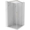 Mexen Rox Duo cabine de douche coulissante 100 x 100 cm, transparent, nickel brossé - 8C2D-100-100-97-00