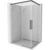 Mexen Rox Duo cabine de douche coulissante 100 x 95 cm, transparent, gris canon brossé - 8C2D-100-095-66-00