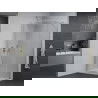 Mexen Pretoria cabine de douche pivotante 70 x 110 cm, transparent, chrome + receveur plat - 852-070-110-01-00-4010