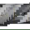 Mexen Pretoria cabine de douche pivotante 70 x 100 cm, transparent, dorée + receveur Flat, noir - 852-070-100-50-00-4070G