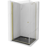 Mexen Pretoria cabine de douche pivotante 70 x 100 cm, transparent, dorée + receveur Flat, noir - 852-070-100-50-00-4070G