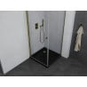 Mexen Pretoria cabine de douche pivotante 80 x 80 cm, transparent, dorée + receveur plat, noir - 852-080-080-50-00-4070G