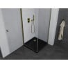 Mexen Pretoria cabine de douche pivotante 80 x 80 cm, transparent, dorée + receveur plat, noir - 852-080-080-50-00-4070G