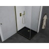 Mexen Pretoria cabine de douche pivotante 80 x 100 cm, transparente, dorée + bac à douche Flat, noir - 852-080-100-50-00-4070G