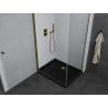 Mexen Pretoria cabine de douche à battant 90 x 70 cm, transparent, or + receveur de douche Flat, noir - 852-090-070-50-00-4070G