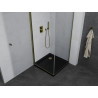 Mexen Pretoria cabine de douche pivotante 90 x 90 cm, transparente, dorée + receveur Flat, noir - 852-090-090-50-00-4070G