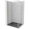 Mexen Pretoria cabine de douche pivotante 90 x 100 cm, transparent, dorée + receveur Flat, noir - 852-090-100-50-00-4070G