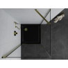 Mexen Pretoria cabine de douche pivotante 100 x 100 cm, transparent, or + receveur Flat, noir - 852-100-100-50-00-4070G