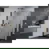 Mexen Pretoria cabine de douche pivotante 70 x 100 cm, transparent, noir + receveur Flat, noir - 852-070-100-70-00-4070B