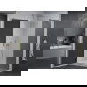 Mexen Pretoria cabine de douche 70 x 100 cm, graphite, chrome + receveur plat - 852-070-100-01-40-4010