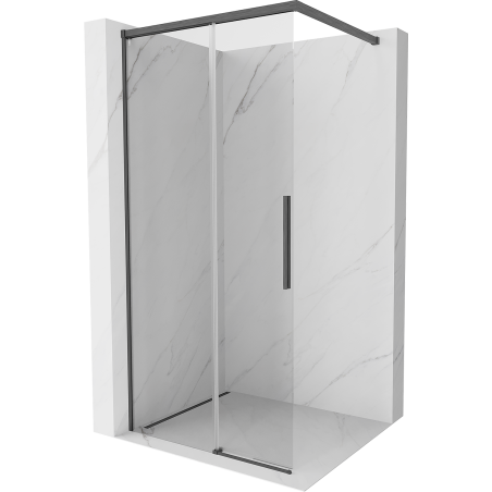 Mexen Rox paroi de douche Walk-in 120 x 200 cm, transparent 8 mm, gris canon brossé - 8C2-120-003-66-00