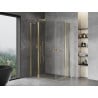Mexen Mist Duo cabine de douche à charnière 110 x 105 cm, transparent, or - 8A4-110-105-50-00