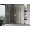 Mexen Mist Duo cabine de douche pivotante 80 x 80 cm, transparent, or brossé - 8A4-080-080-55-00
