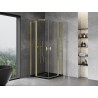 Mexen Mist Duo cabine de douche pivotante 85 x 85 cm, transparent, or brossé - 8A4-085-085-55-00