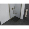 Mexen Pretoria Duo cabine de douche pivotante 100 x 100 cm, transparent, doré - 852-100-100-50-00-02