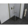 Mexen Pretoria Duo cabine de douche pivotante 100 x 100 cm, transparent, or - 852-100-100-50-00-02