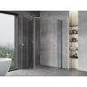 Mexen Mist L Duo cabine de douche pivotante 120 x 100 cm, transparent, chromé - 8A4L-120-100-01-00