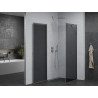 Mexen Pretoria cabine de douche battante 100 x 100 cm, graphite, chrome - 852-100-100-01-40