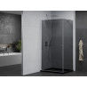 Mexen Pretoria cabine de douche battante 100 x 110 cm, graphite, chrome + receveur Flat, noir - 852-100-110-01-40-4070
