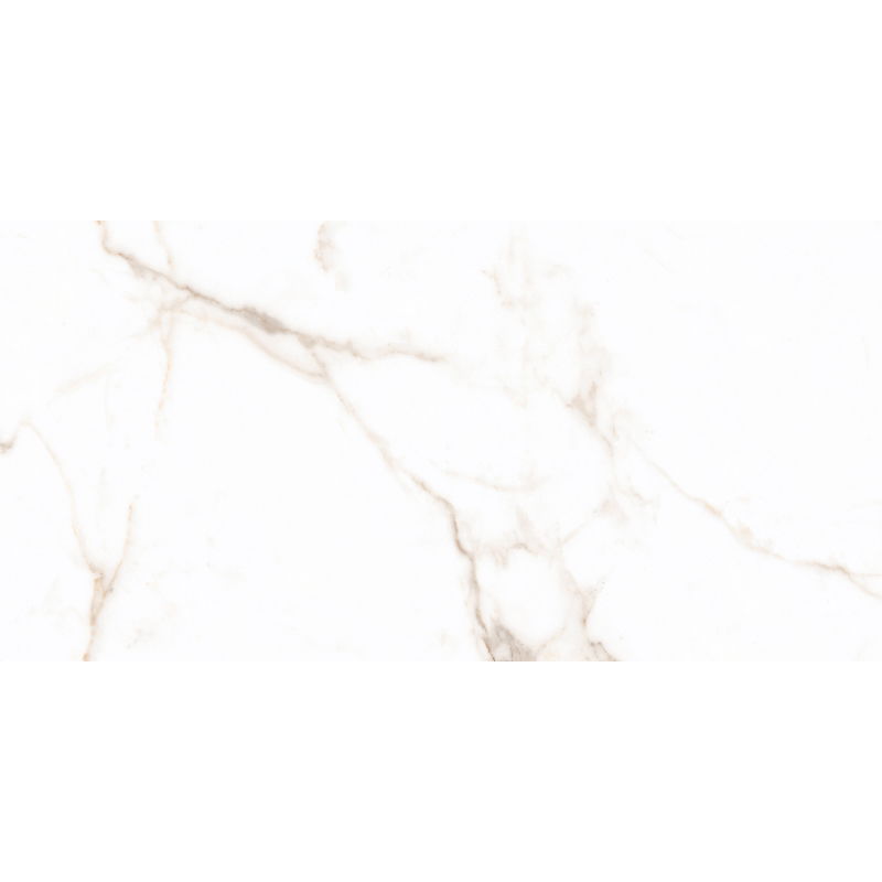 Mexen Lac Échantillon d'or de grès émaillé rectifié. G1, carreau de sol et mur 120 x 60 cm, brillant - TL107-00-S