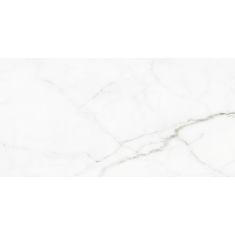 Mexen Lac Échantillon gris de grès cérame émaillé rectifié G1, carreau de sol et mural 120 x 60 cm, brillant - TL107-01-S