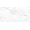 Mexen Brakel Échantillon blanc de grès émaillé rectifié. G1, carreau sol-mur, brillant - TL110-01-S